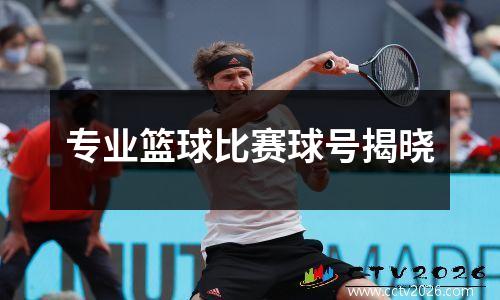 专业篮球比赛球号揭晓