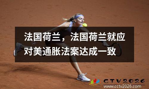 法国荷兰，法国荷兰就应对美通胀法案达成一致