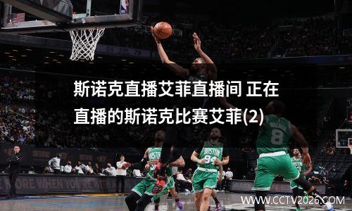 斯诺克直播艾菲直播间 正在直播的斯诺克比赛艾菲(2)