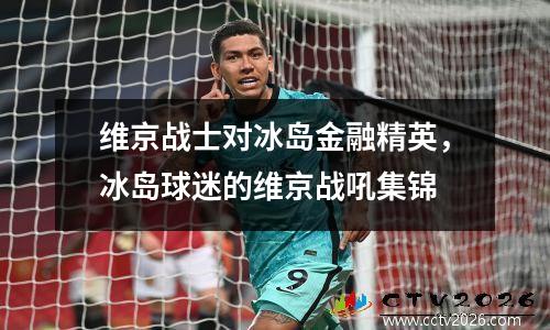 维京战士对冰岛金融精英，冰岛球迷的维京战吼集锦