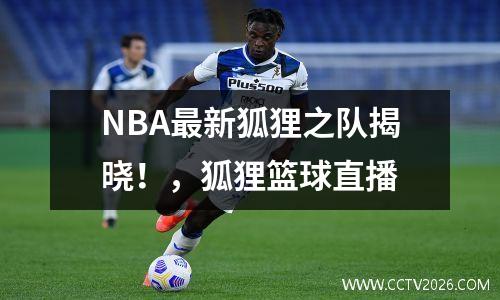 NBA最新狐狸之队揭晓！，狐狸篮球直播