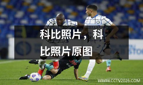 科比照片，科比照片原图