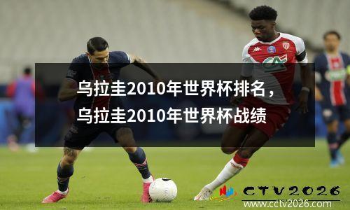 乌拉圭2010年世界杯排名，乌拉圭2010年世界杯战绩