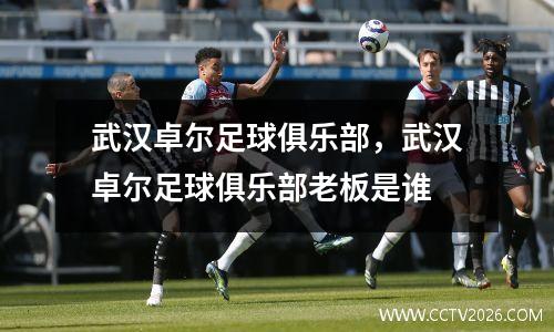 武汉卓尔足球俱乐部，武汉卓尔足球俱乐部老板是谁