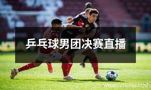 乒乓球男团决赛直播