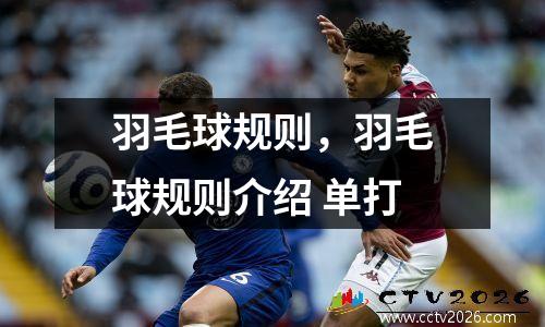 羽毛球规则，羽毛球规则介绍 单打