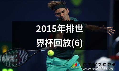 2015年排世界杯回放(6)