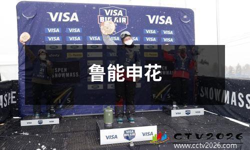 鲁能申花