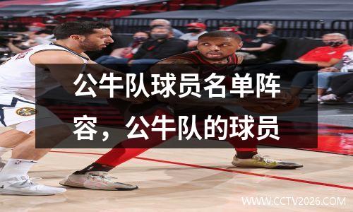 公牛队球员名单阵容，公牛队的球员