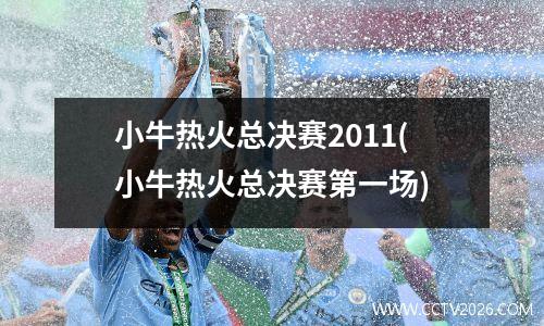 小牛热火总决赛2011(小牛热火总决赛第一场)