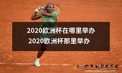2020欧洲杯在哪里举办 2020欧洲杯那里举办