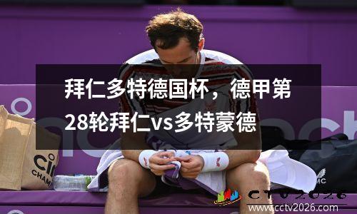 拜仁多特德国杯，德甲第28轮拜仁vs多特蒙德