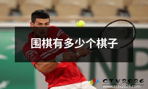 围棋有多少个棋子