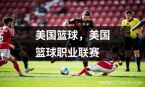 美国篮球，美国篮球职业联赛
