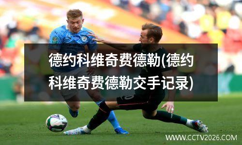 德约科维奇费德勒(德约科维奇费德勒交手记录)