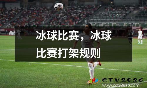 冰球比赛，冰球比赛打架规则