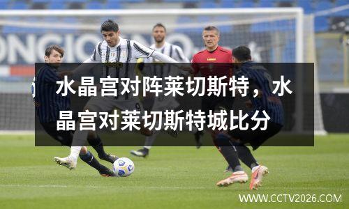 水晶宫对阵莱切斯特，水晶宫对莱切斯特城比分