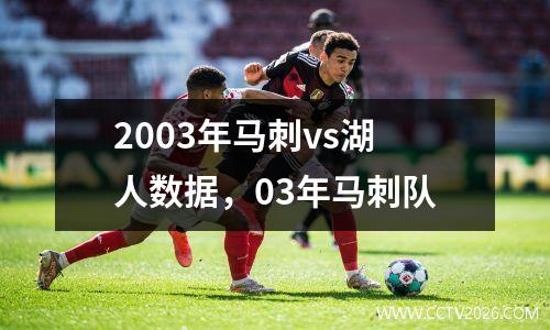 2003年马刺vs湖人数据，03年马刺队