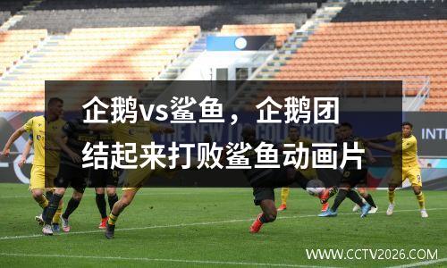 企鹅vs鲨鱼，企鹅团结起来打败鲨鱼动画片