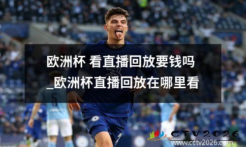 欧洲杯 看直播回放要钱吗_欧洲杯直播回放在哪里看