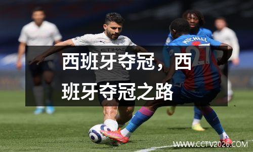 西班牙夺冠，西班牙夺冠之路
