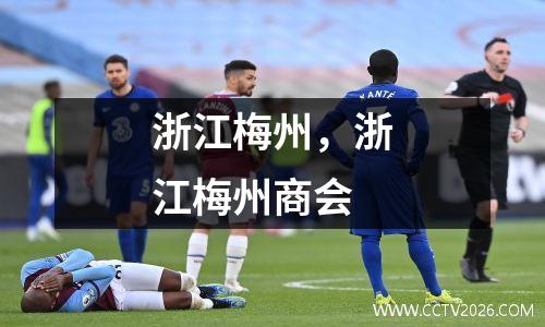 浙江梅州，浙江梅州商会