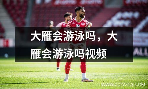 大雁会游泳吗，大雁会游泳吗视频