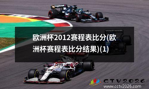 欧洲杯2012赛程表比分(欧洲杯赛程表比分结果)(1)