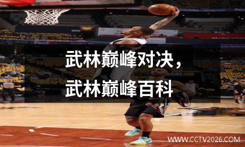 武林巅峰对决，武林巅峰百科