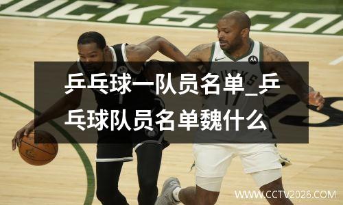 乒乓球一队员名单_乒乓球队员名单魏什么