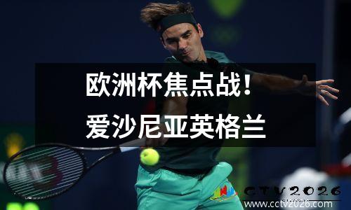 欧洲杯焦点战！爱沙尼亚英格兰