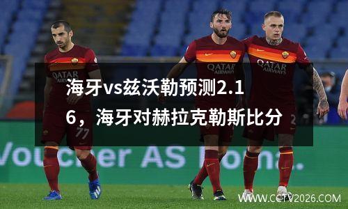 海牙vs兹沃勒预测2.16，海牙对赫拉克勒斯比分