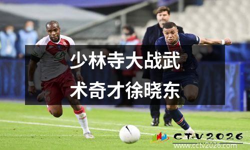 少林寺大战武术奇才徐晓东