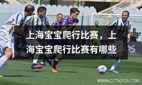 上海宝宝爬行比赛，上海宝宝爬行比赛有哪些