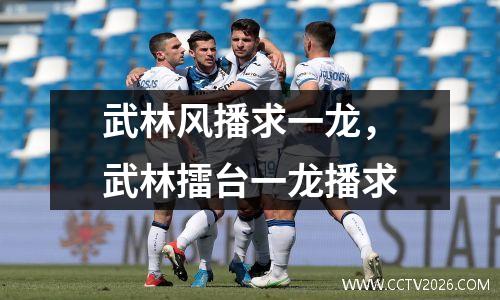 武林风播求一龙，武林擂台一龙播求