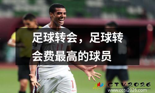 足球转会，足球转会费最高的球员