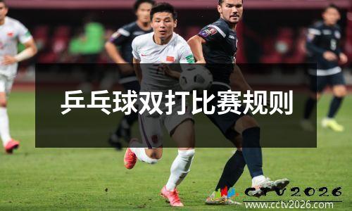 乒乓球双打比赛规则