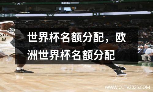 世界杯名额分配，欧洲世界杯名额分配