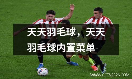 天天羽毛球，天天羽毛球内置菜单