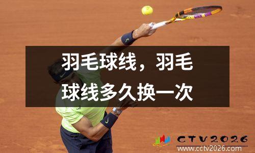 羽毛球线，羽毛球线多久换一次