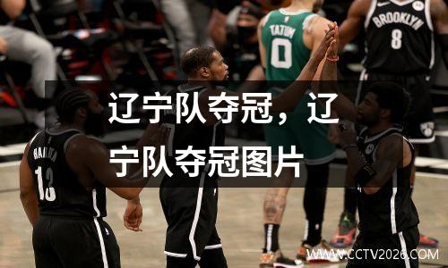 辽宁队夺冠，辽宁队夺冠图片