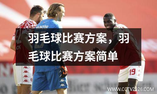 羽毛球比赛方案，羽毛球比赛方案简单