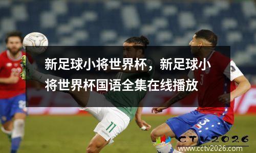 新足球小将世界杯，新足球小将世界杯国语全集在线播放