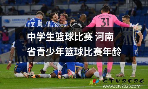 德国VS韩国粤语云播放