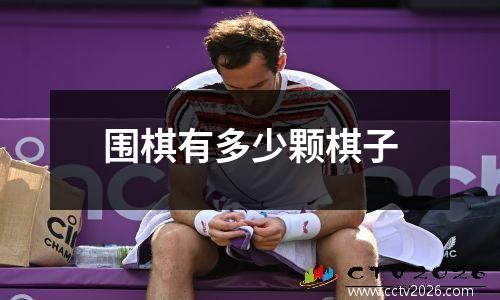 围棋有多少颗棋子