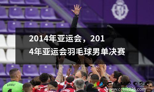 2014年亚运会，2014年亚运会羽毛球男单决赛