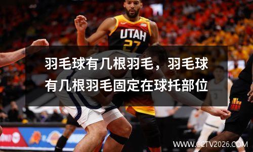 羽毛球有几根羽毛，羽毛球有几根羽毛固定在球托部位