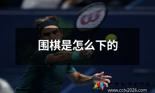 围棋是怎么下的