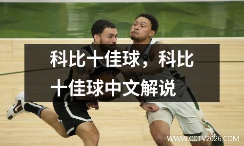 科比十佳球，科比十佳球中文解说