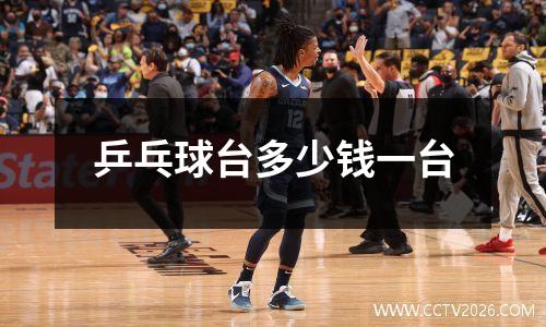 乒乓球台多少钱一台